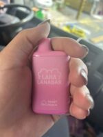 ⚡台灣現貨⚡ LANA BAR 一次性/拋棄式電子煙 5000口 - 画像 (7)