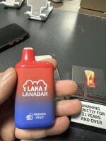⚡台灣現貨⚡ LANA BAR 一次性/拋棄式電子煙 5000口 - 画像 (6)