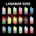台湾在庫 ⚡ LANA BAR 使い捨て/使い捨て電子タバコ 5000パフ