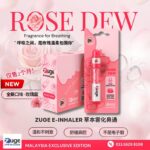 Taiwan Now E-inhaler Zuger Electronic Inhaler Herbal Aroma Stick Aerosol Nasal Stimulator